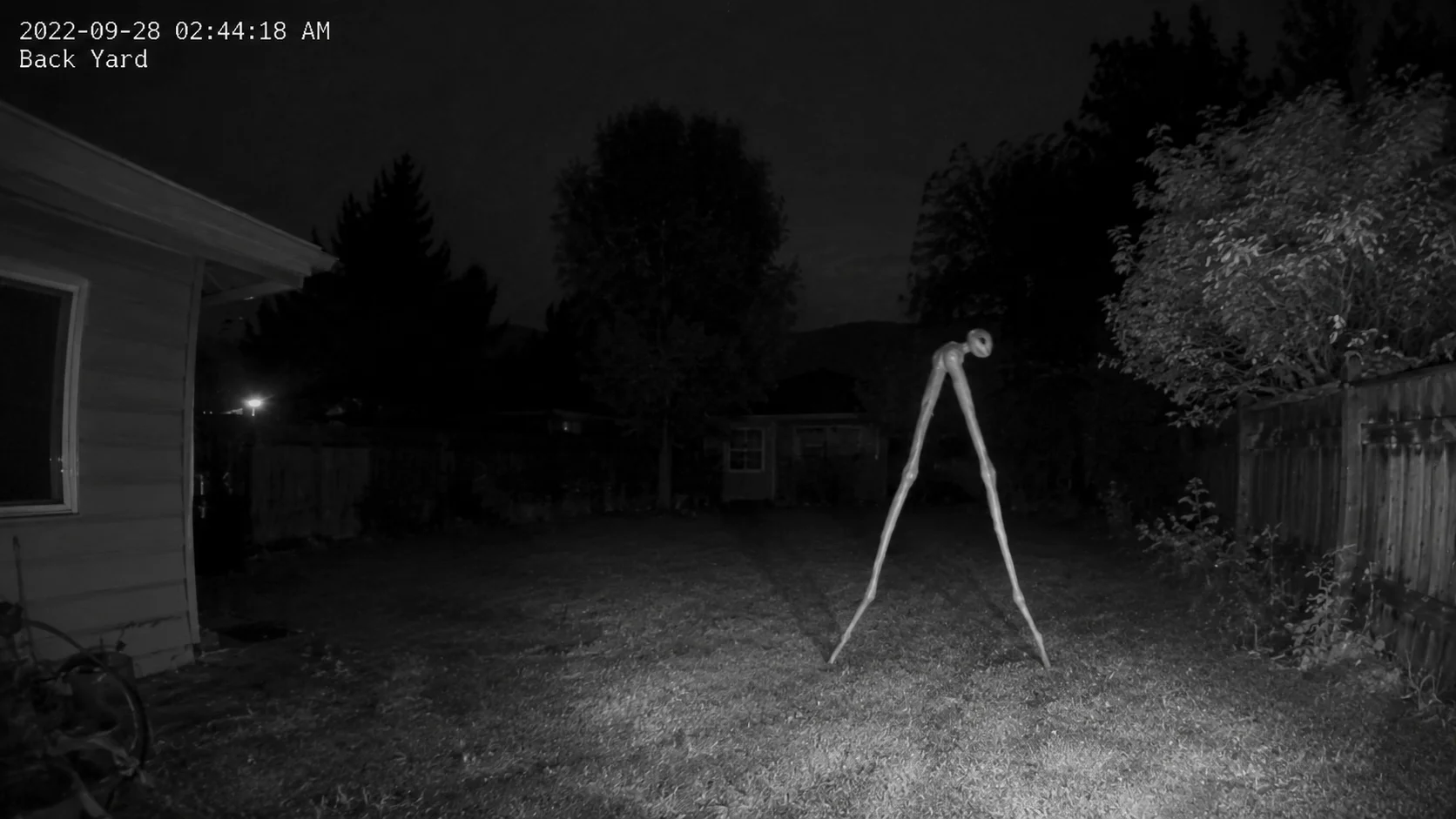 Fresno Nightcrawler